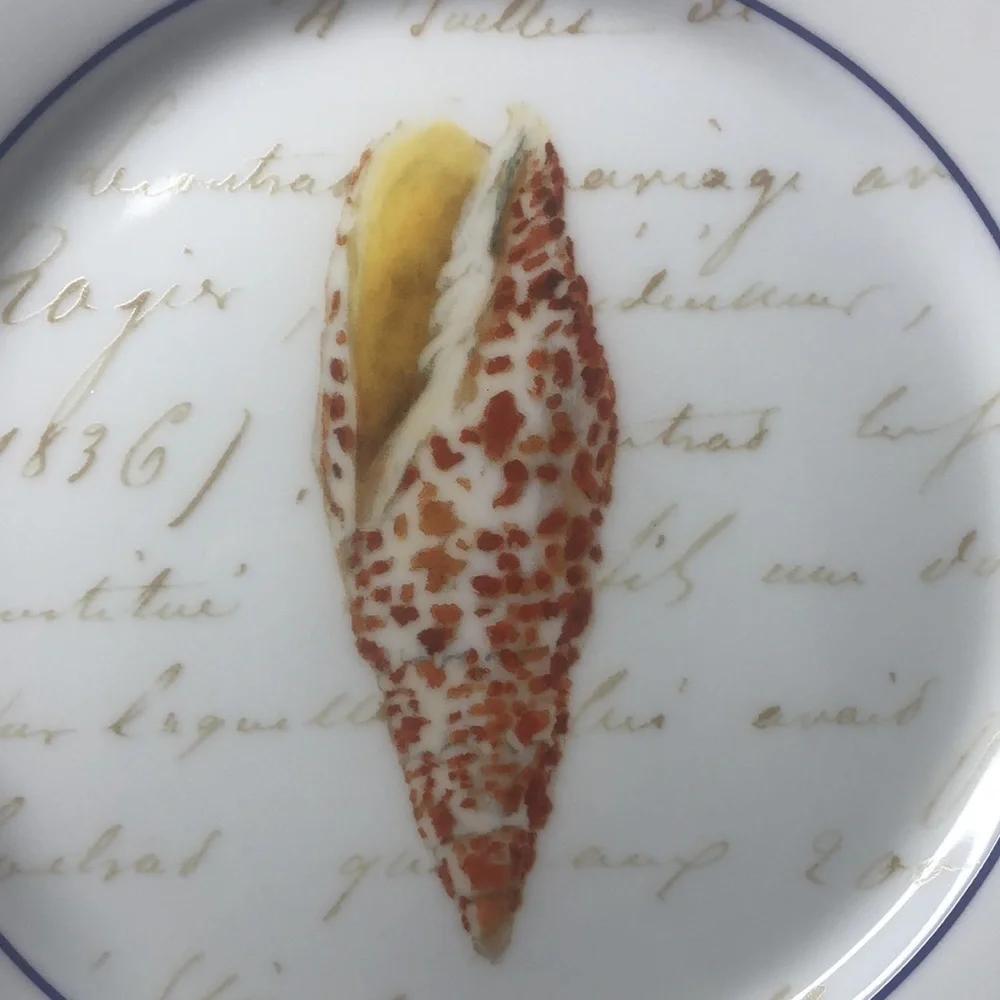 Williams Sonoma Set Seashell Salad Dessert Luncheon Plates